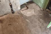 IMG_20260820_194514.jpg