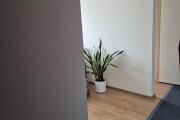 20260927_095459.jpg