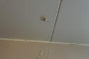 IMG_8814.jpeg