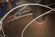 IMG_5867.jpeg
