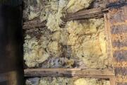 IMG_8897.jpeg