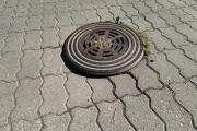 IMG_0061.jpeg