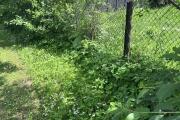 IMG_8402.jpeg
