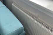 IMG_6941.jpeg