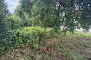 IMG_2088.jpeg