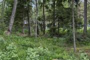 IMG_1573.jpeg