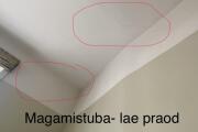 IMG_0657.jpeg