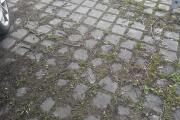 IMG_8409.jpeg