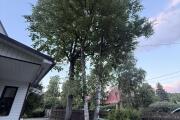 IMG_7451.jpeg