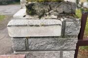 IMG_3239.jpeg