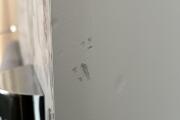 IMG_5283.jpeg