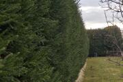 IMG_20260412_170559.jpg