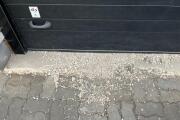 IMG_7966.jpeg