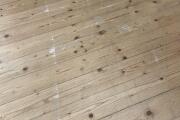 IMG_4283.jpeg