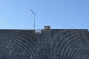 IMG_9892.jpeg