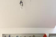 IMG_1737.jpeg