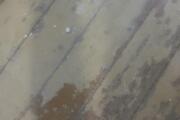 IMG_6530.jpeg