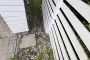 IMG_1592.jpeg
