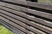 IMG_0671.jpeg