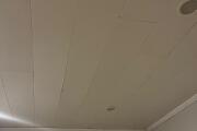 503ec406-e63b-48ba-98e9-ee7500286c81.jpeg