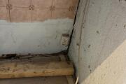 IMG_9973.jpeg