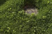 IMG_8606.jpeg