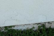 IMG_20260526_083917.jpg