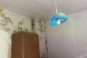 IMG_4955.jpeg