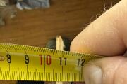 IMG_9639.JPEG