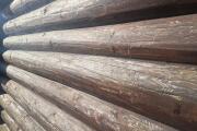 20260626_071606.jpg