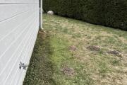 IMG_1356.jpeg