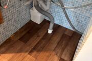 IMG_4345.jpeg