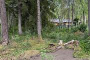 IMG_1571.jpeg