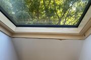 IMG_0198.JPEG