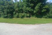 IMG_20260717_151652.jpg