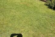 IMG_6289.jpeg