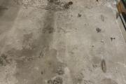 IMG_7964.jpeg