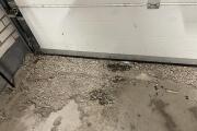 IMG_7963.jpeg