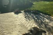 IMG_5992.jpeg