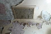 IMG_20260728_160631.jpg