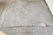 IMG_1593.jpeg