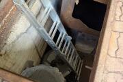 IMG_3537.jpeg