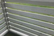 20260531_150106.jpg