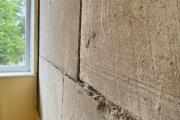 IMG_4750.jpeg