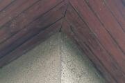 IMG_20260708_121151.jpg
