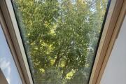 IMG_0194.JPEG