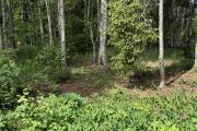 IMG_1577.jpeg