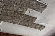 IMG_3709.jpeg
