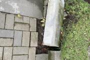 IMG_8767.JPEG