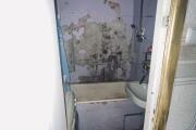 IMG-20260525-WA0007.jpg